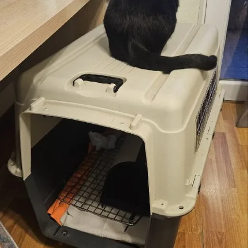 Animal carrier with wheels