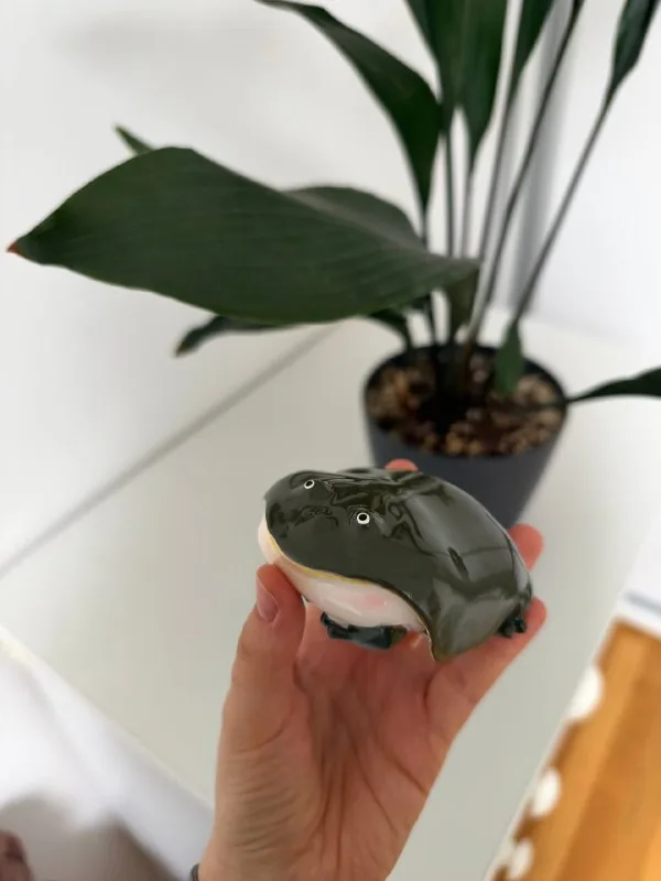 Frog case for AirPods Pro 1