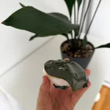 Frog case for AirPods Pro 1