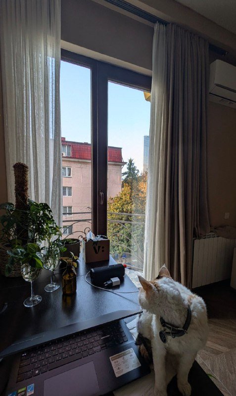 Квартира с отдельной спальней и балконом в аренду 7