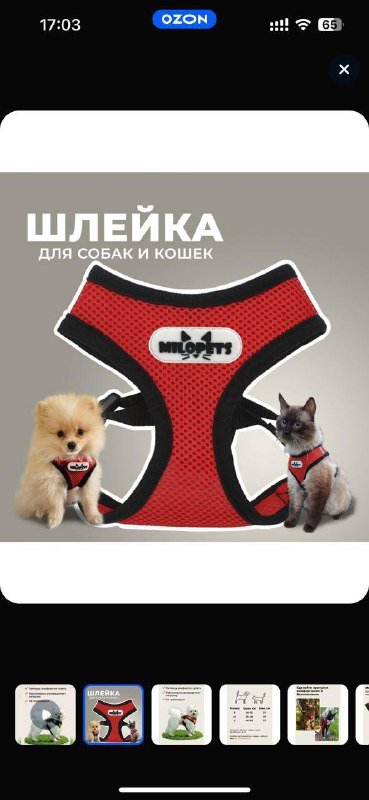 Шлейка для кошек и собак, размер М 4