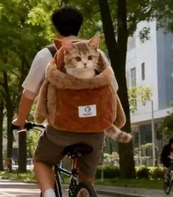 Переноска для кошки и маленьких собак