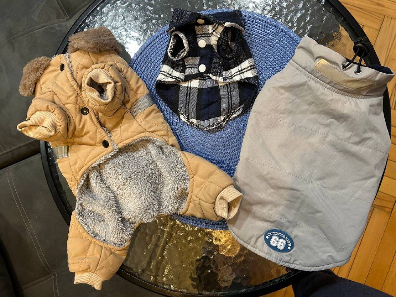 Куртки и рубашка для собак