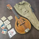 Мандолина, Черноморский Кеменче 1