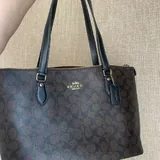 Сумка Coach Signature Tote 1