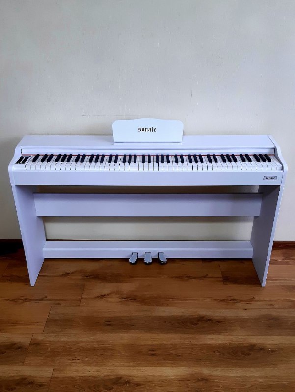 Музыкальные инструменты в аренду на день/месяц 4