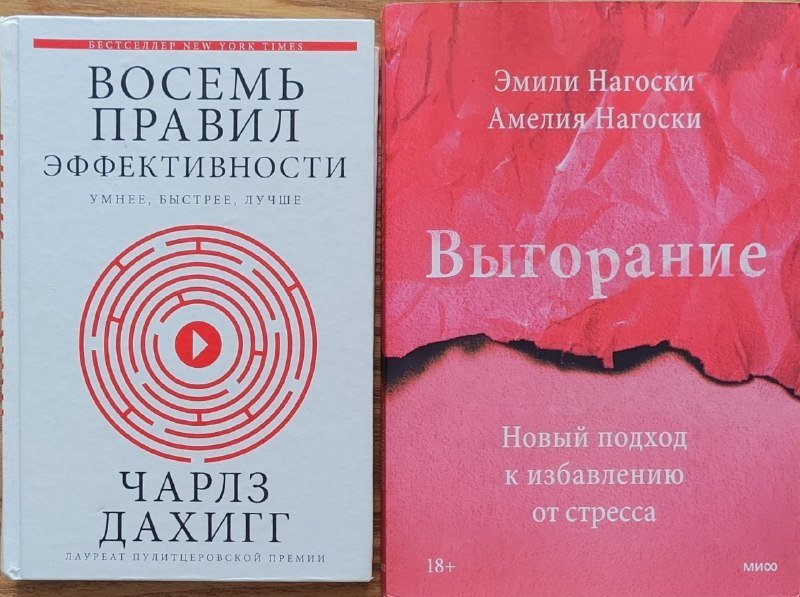 Книга Выгорание, Книга 8 правил эффективности