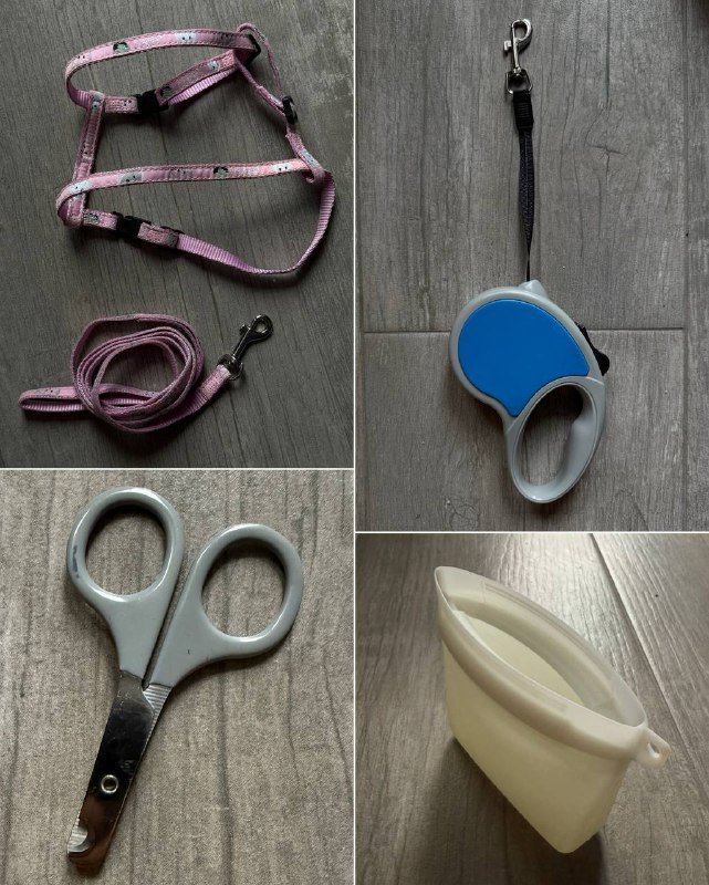 Поводок и шлейка, поводок-рулетка, когтерезка, силиконовый кошелек