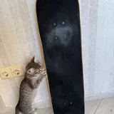 Скейт 1