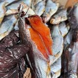 Живые раки и рыба 6