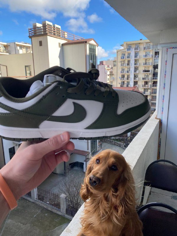 Nike Dunk бело-болотные мужские кроссовки 44.5 3