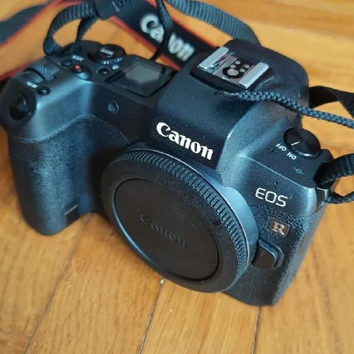 Фотокамера Canon EOS R body