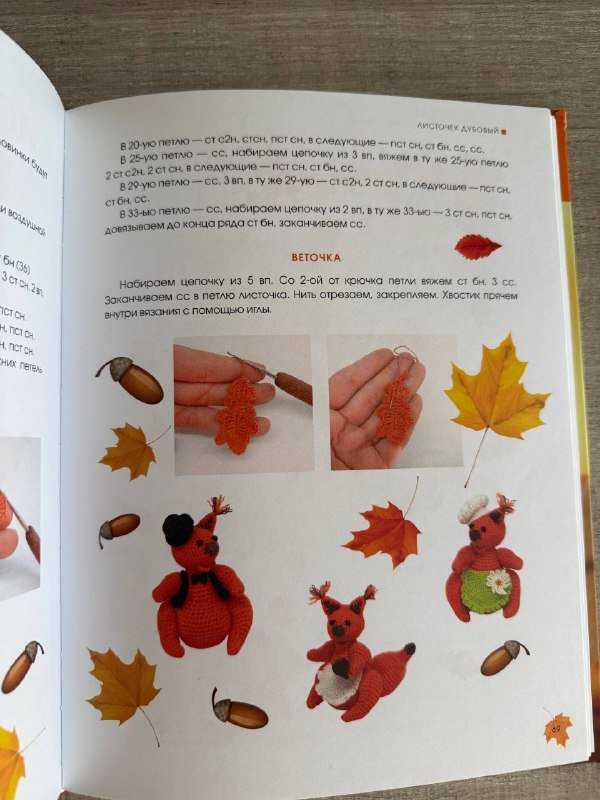 Почемучкина Энциклопедия, Осенняя сказка Амигуруми 6