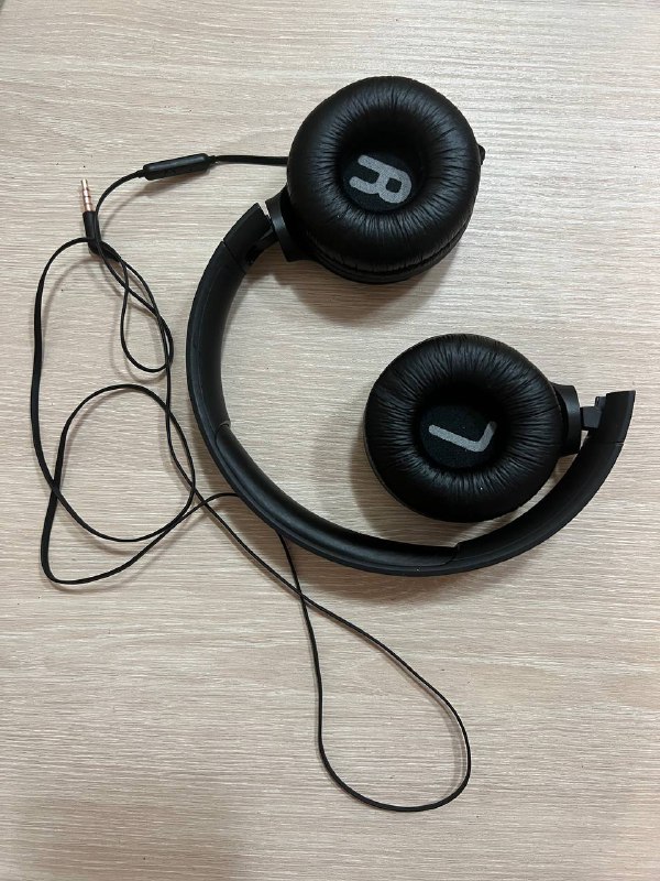 Наушники проводные JBL T500, Лев Толстой «Исповедь. О жизни» 2