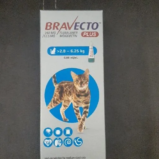 Кошачий Бравекто