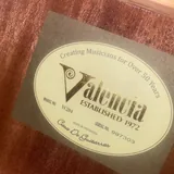 Классическая гитара Valencia VC204, чехол, струны 2