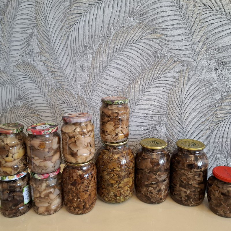 Грибы в банках 1 литр, 2 литра, 0.5 литра 3