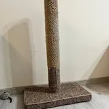 Когтеточка для кошки 2