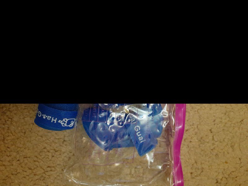 Шлейка, поводок, обувь для питомцев 4