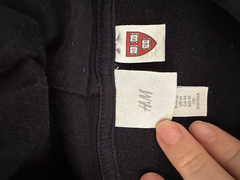 Толстовка Harvard H&M 2