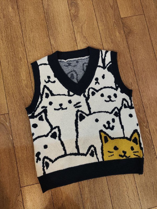 Берет, жилет с котами, юбка-килт, ботильоны, ветровка 2