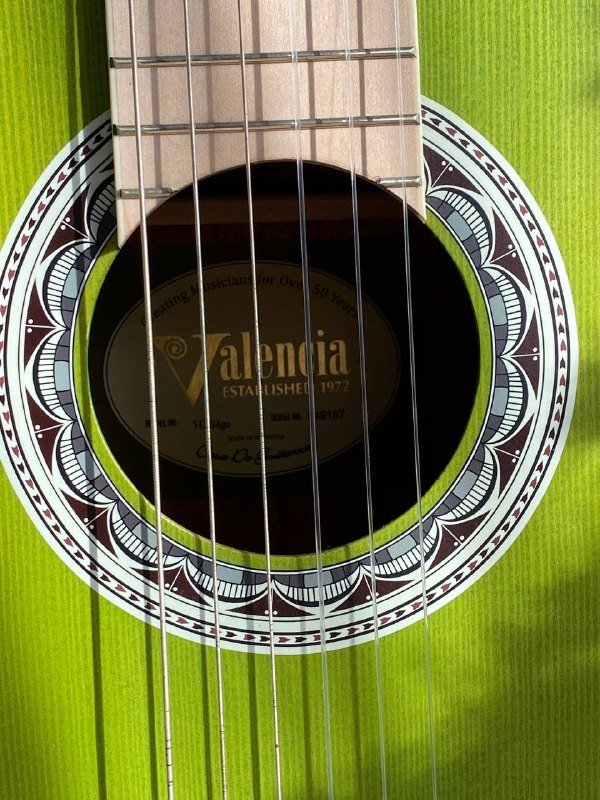 Гитара Valencia, чехол 3