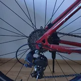 Momentum Giant 3