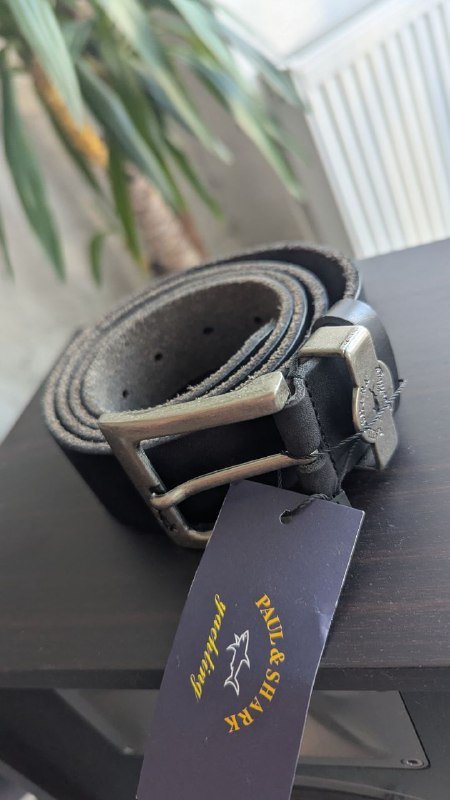 Пальма Юкка 3