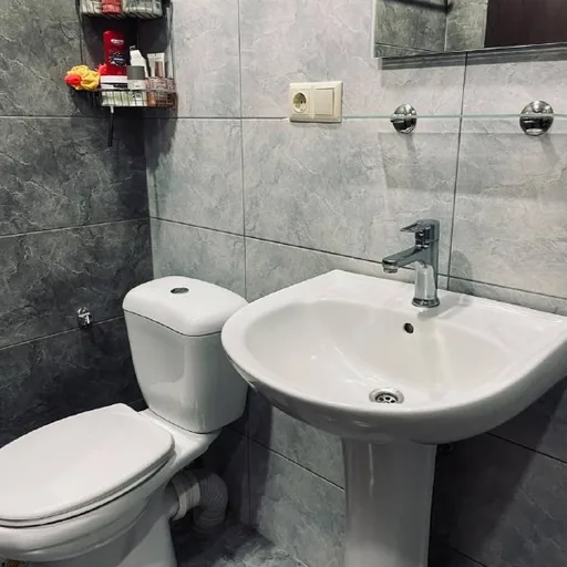 Унитаз с сифоном, умывальник с краном и зеркало