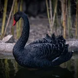 Fujifilm X-T3 камера и объективы комплект 5