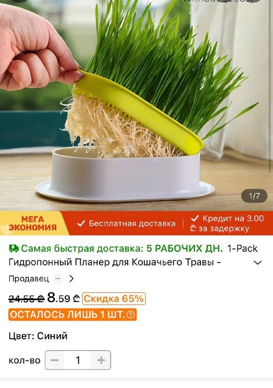 Гидропонный горшок для кошачьей травы 2