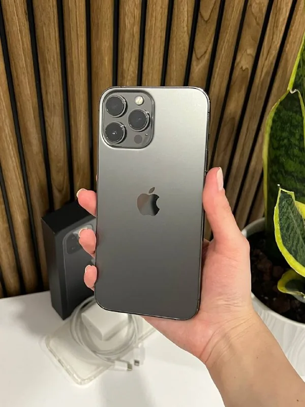 iPhone 13 Pro Max 1