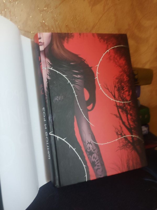 Книги Джезебел Морган, Ли Бардуго, М. Ю. Лермонтов, Ханна Грейс, Шеннон Чакраборти, Сара Дж. Маас 6