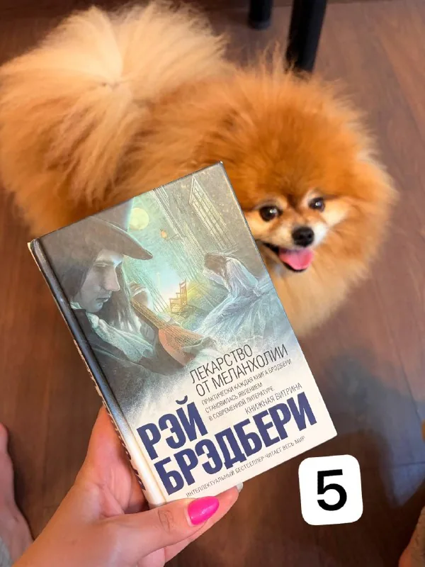 Книги, Рэй Брэдбери, Alexandra Carter, Доминик Лоро 1