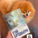 Книги, Рэй Брэдбери, Alexandra Carter, Доминик Лоро 1