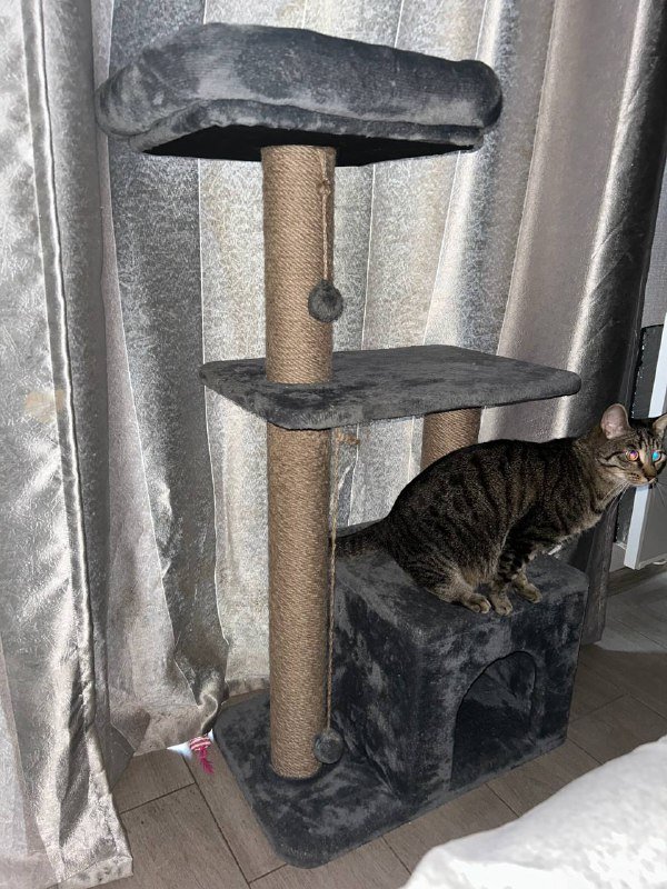 Когтеточка с лежанкой для кошек