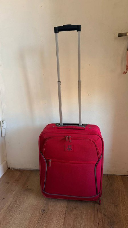 Чемодан в ручную кладь