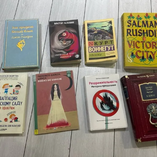 Книги Джеймса Джойса, Салмана Рушди, Виктора Пелевина и других