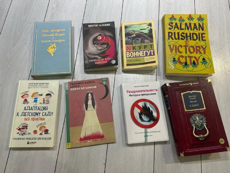 Книги Джеймса Джойса, Салмана Рушди, Виктора Пелевина и других