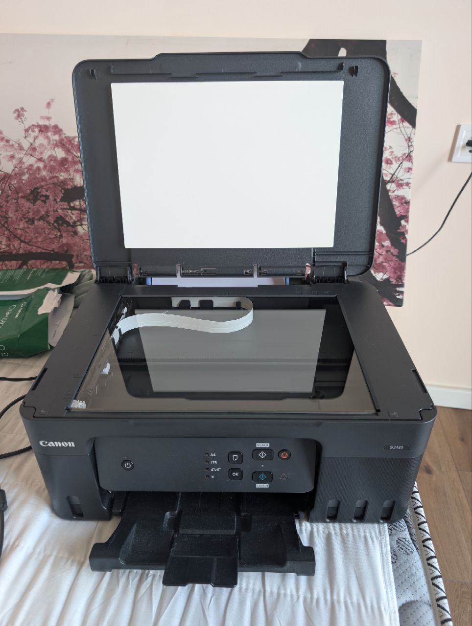Cannon Pixma G2430 printer 2