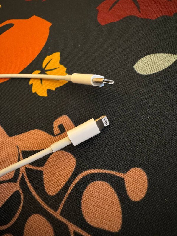 Кабель зарядки Apple USB-C Lightning 2