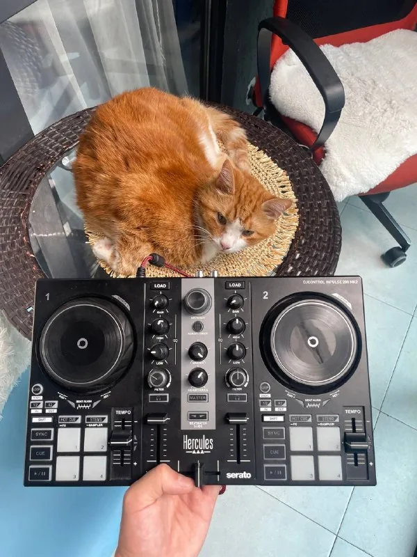 Hercules DJControl Inpulse 200 MK2 контроллер