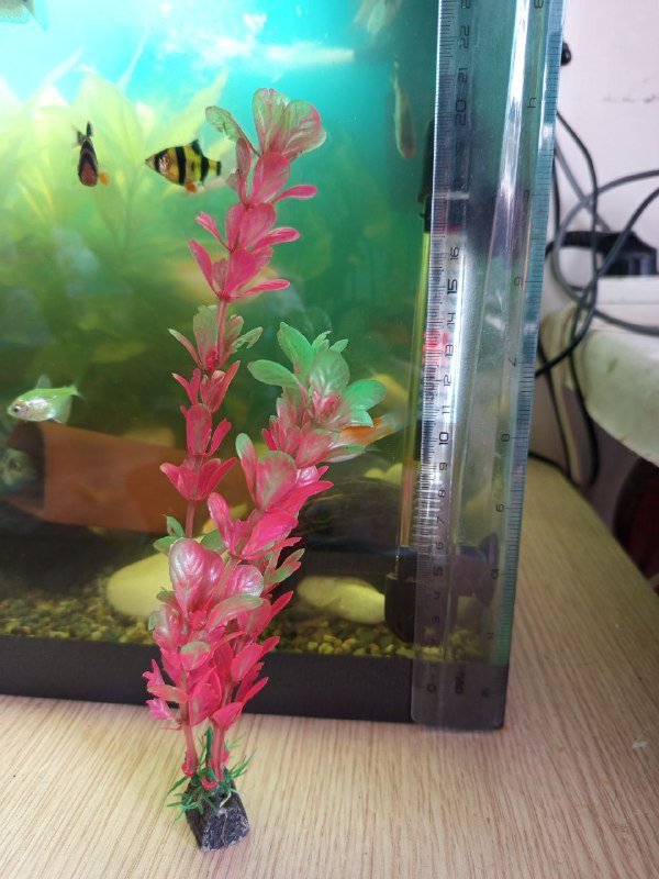 Искусственные аквариумные растения 4