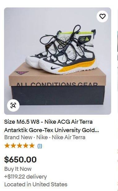 Кроссовки Nike ACG Terra Antarktik Gore-Tex 44 5