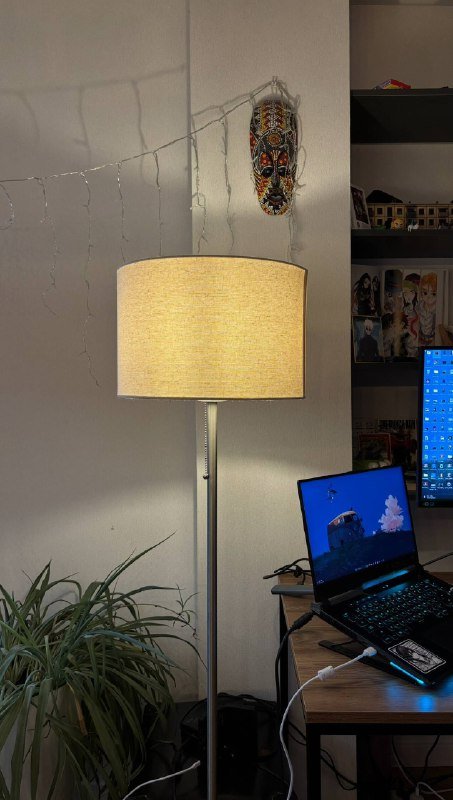 Напольный торшер, робот пылесос Viomi, мини печь Schaub Lorenz