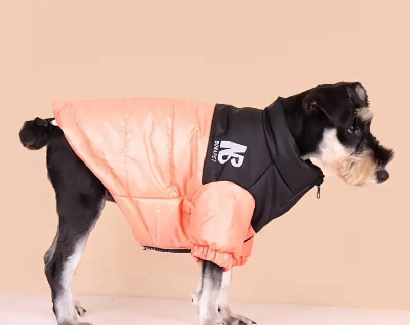 Куртка и комбинезон для мини-собаки или щенка 1