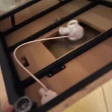 Массажный стол, раковина с подстольем для ног 10
