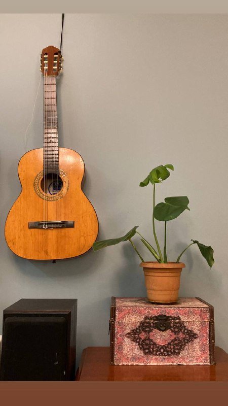 Монстеры большая и поменьше 7