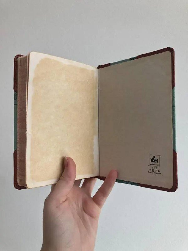 Винтажный ежедневник Student 112 80-х годов 10