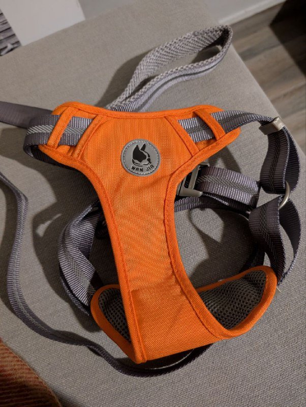 Шлейка для собак средних и крупных пород, поводок